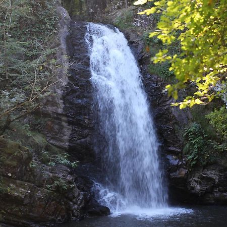 Gite De La Genevriere Saint-Chamant Exteriör bild